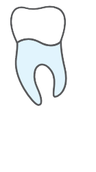 Tooth 38