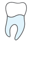 Tooth 48